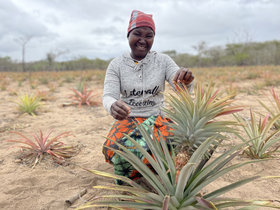 Raina uit Mozambique met ananas - een klimaatbestendig gewas.jpg